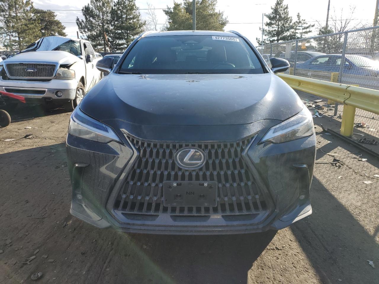 2023 LEXUS NX 350 - Image 5
