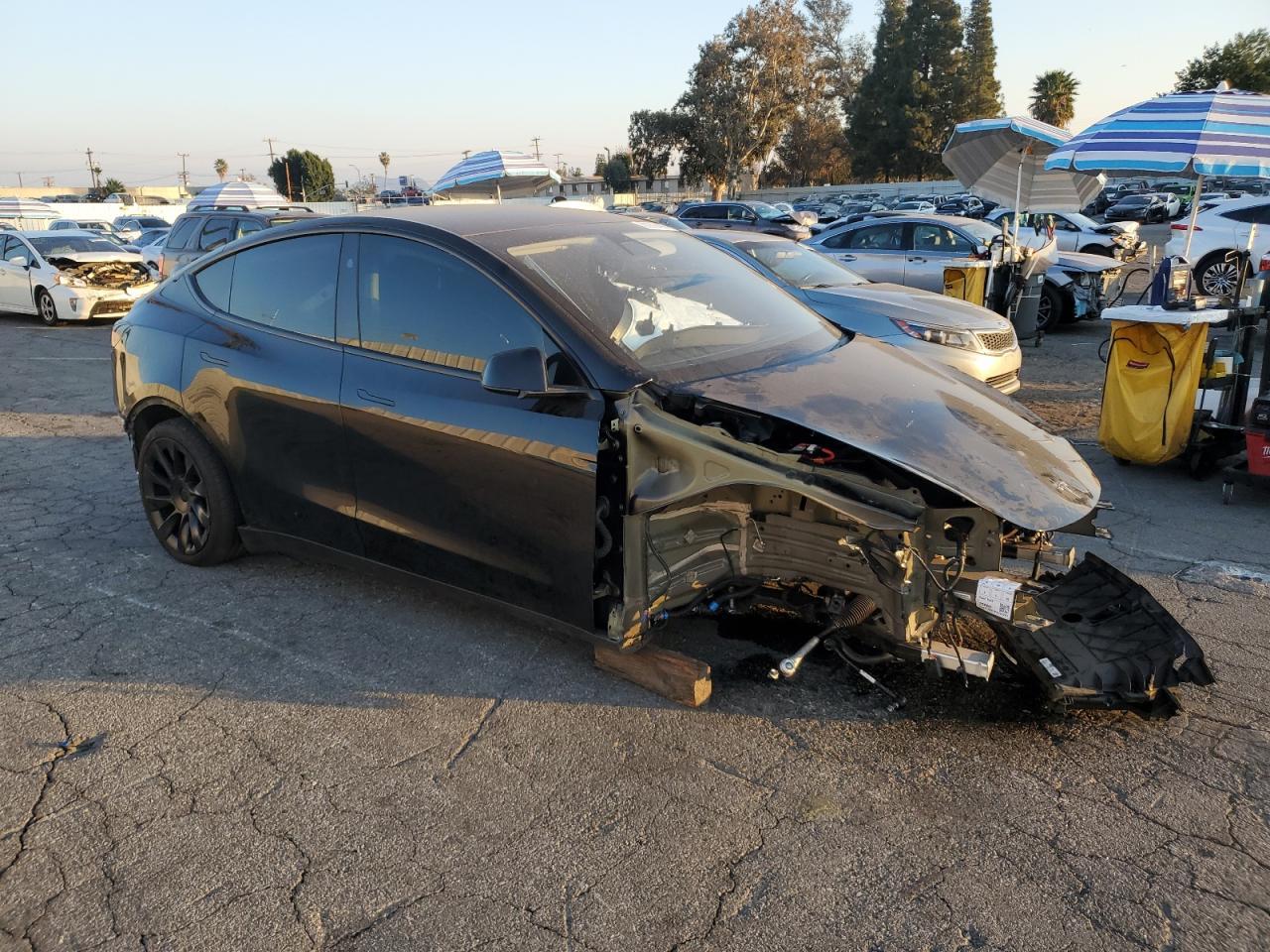 2023 TESLA MODEL Y - Фото 4