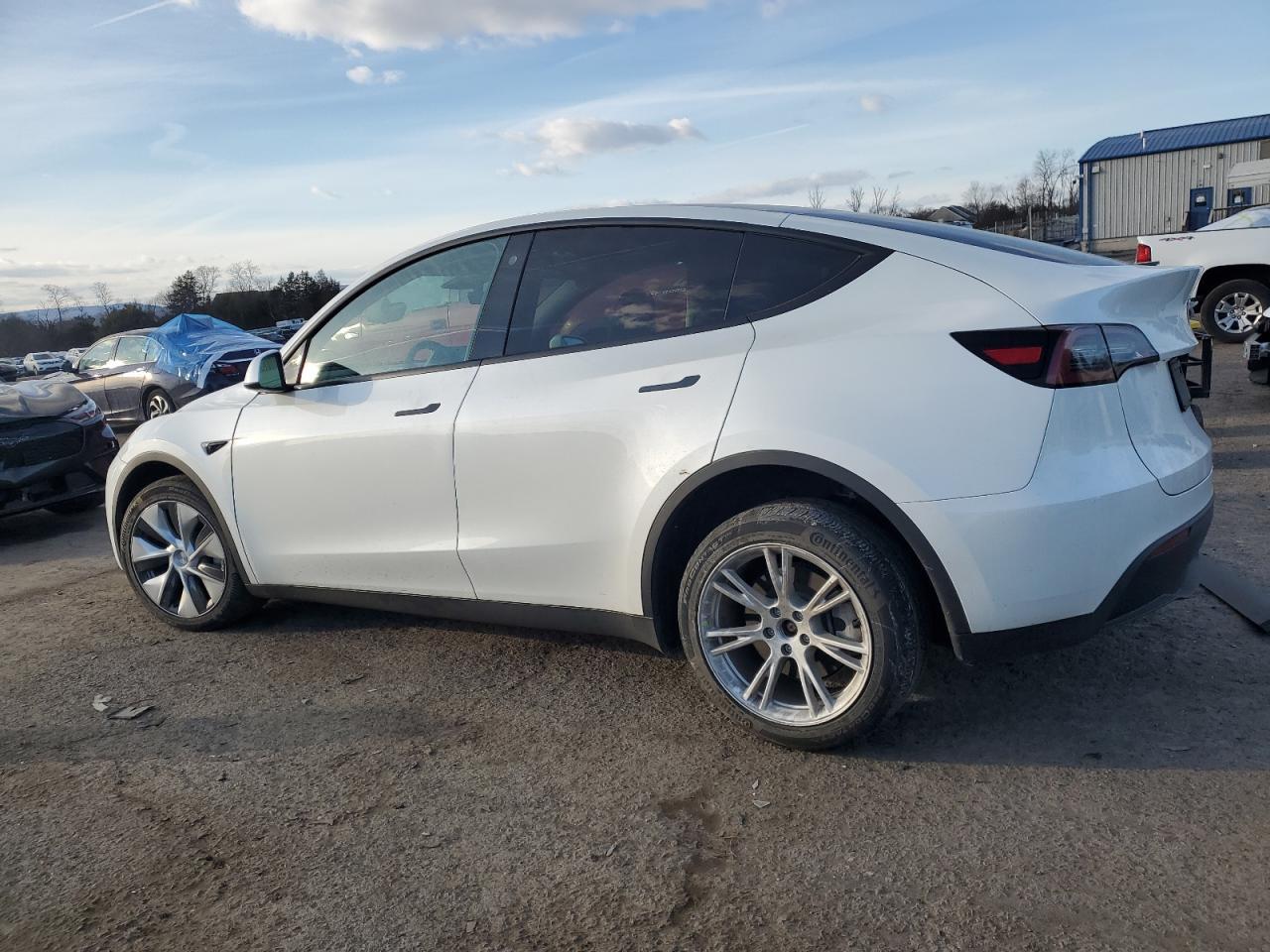 2023 TESLA MODEL Y - Фото 2
