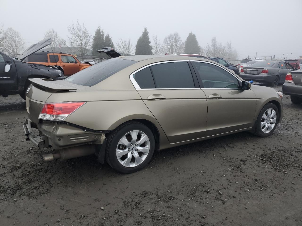 2010 HONDA ACCORD EXL - Image 3