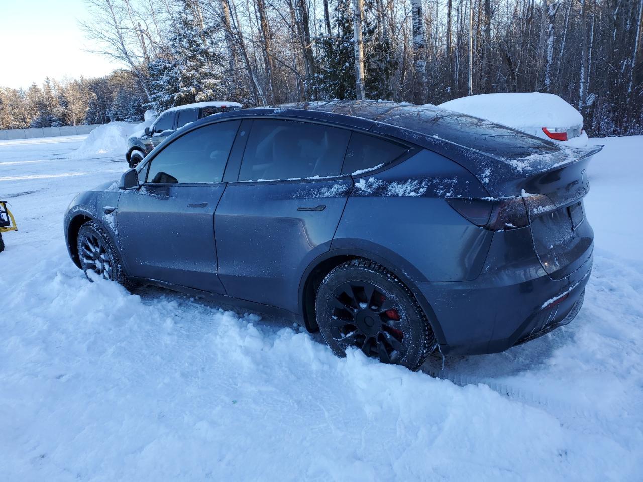 2023 TESLA MODEL Y - Фото 2