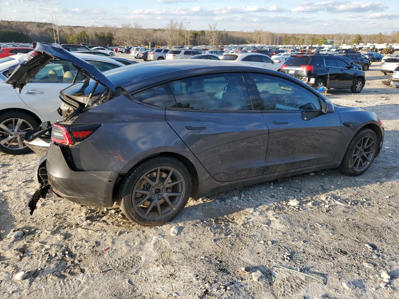 2019 TESLA MODEL 3 - Фото 3