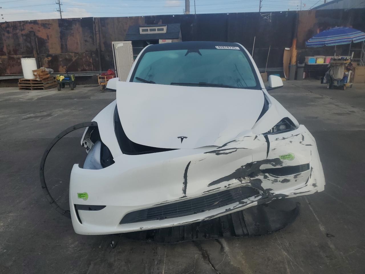 2023 TESLA MODEL Y - Image 5