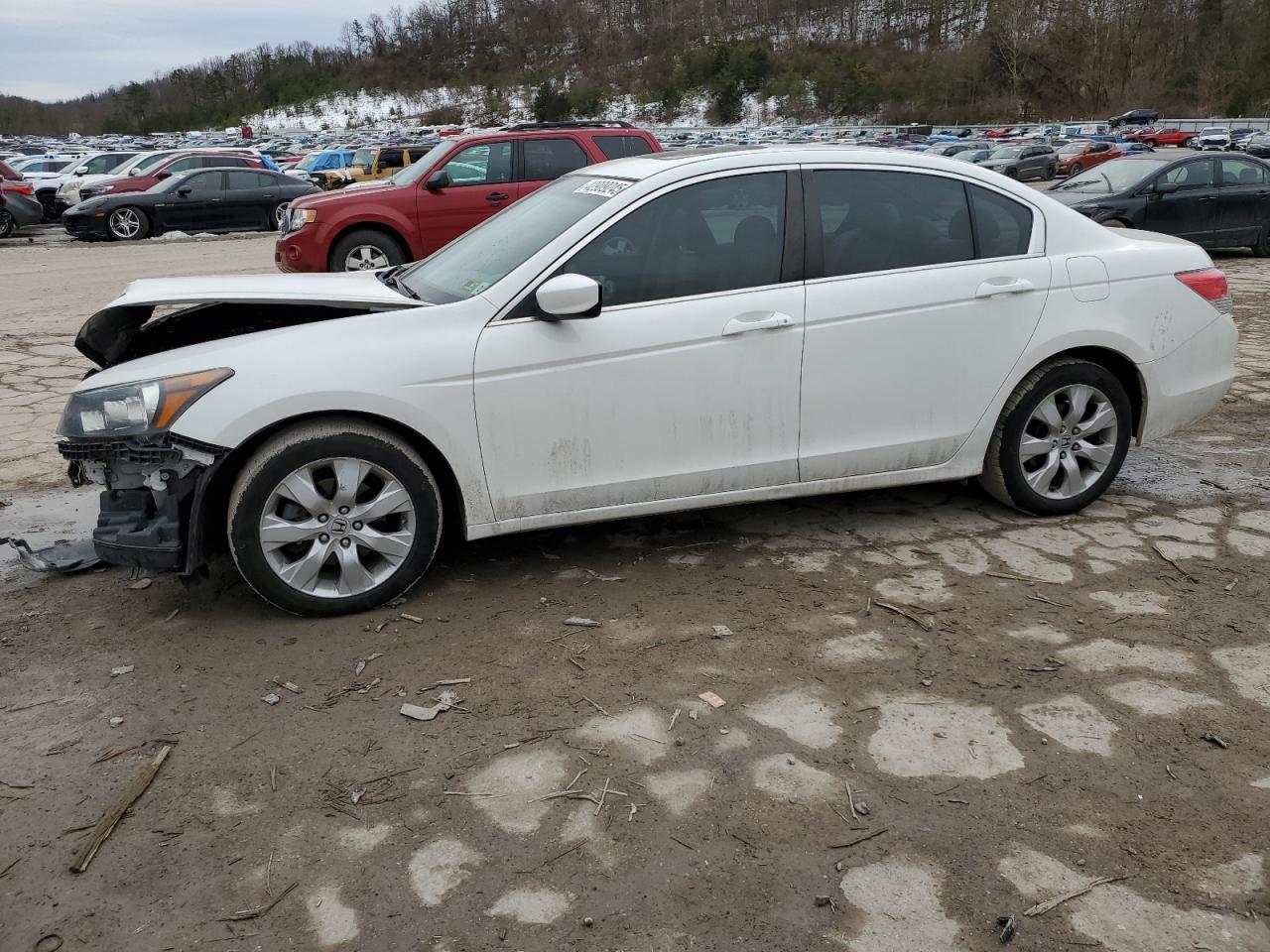 2010 HONDA ACCORD EXL