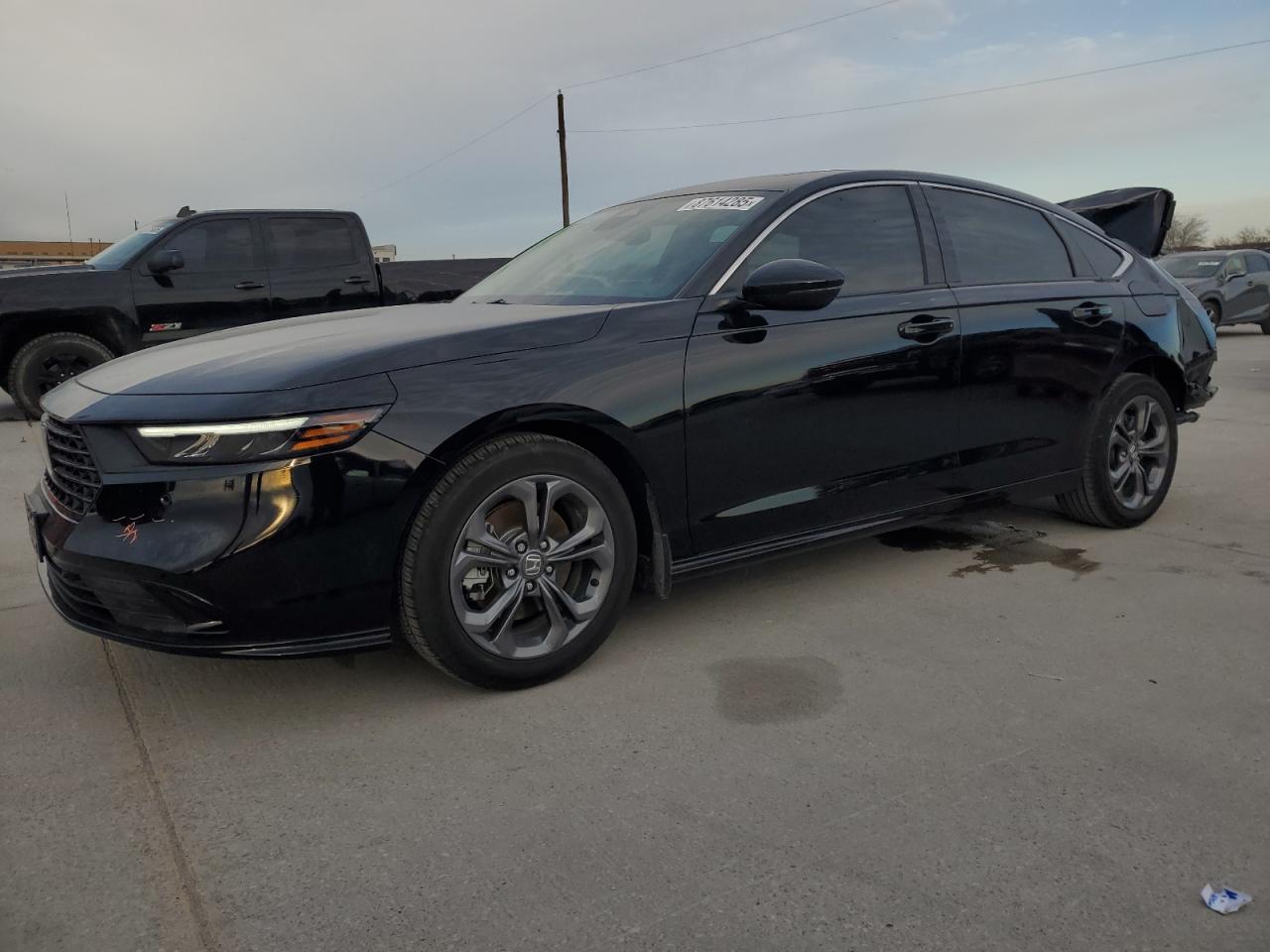 2024 HONDA ACCORD HYB
