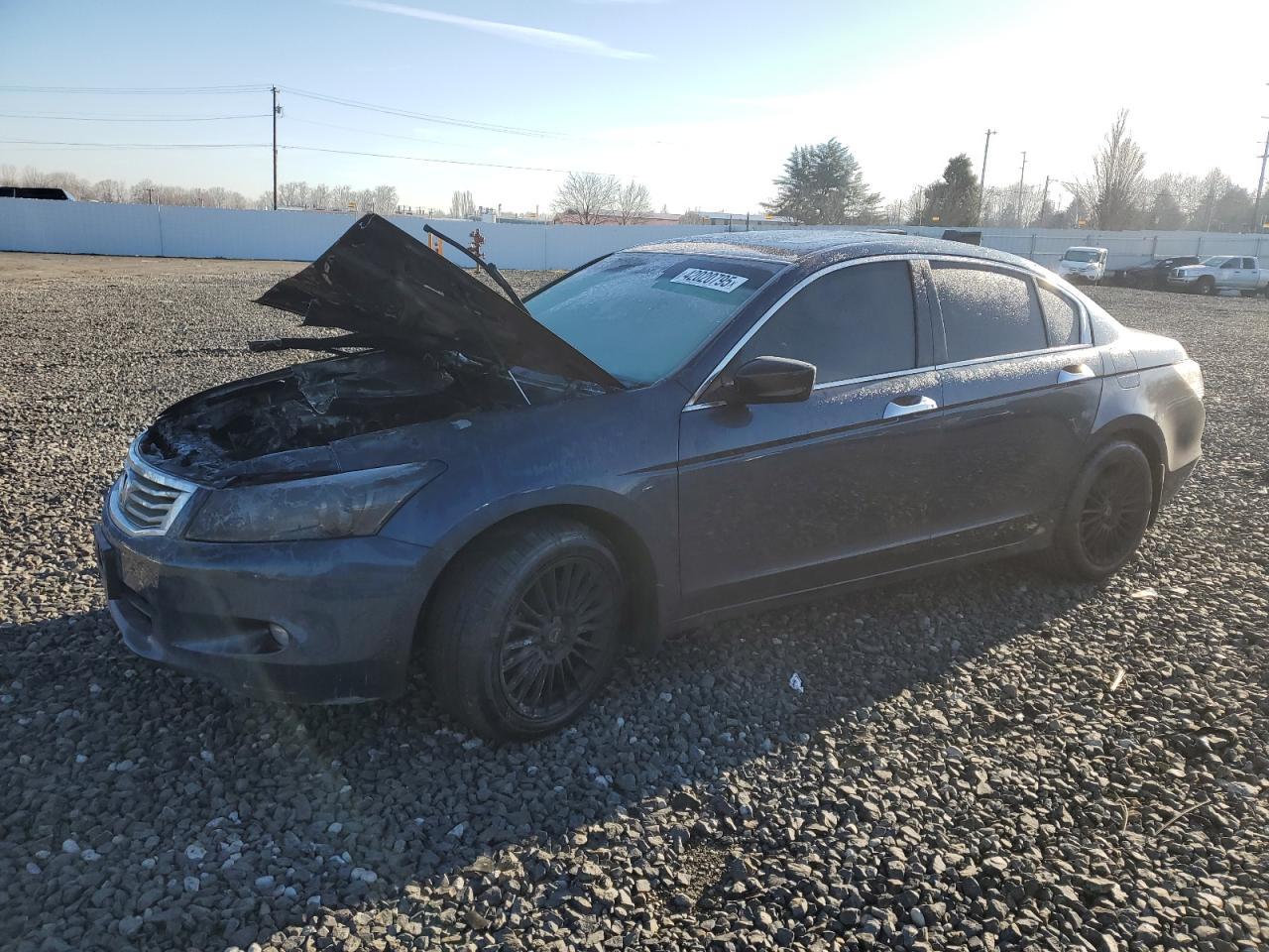 2010 HONDA ACCORD EXL
