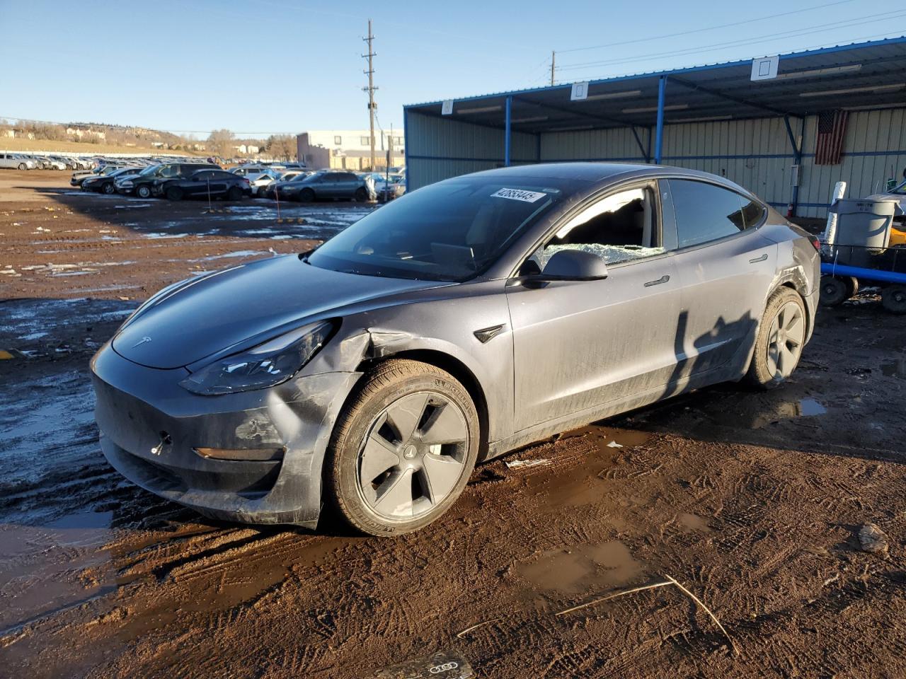 2023 TESLA MODEL 3