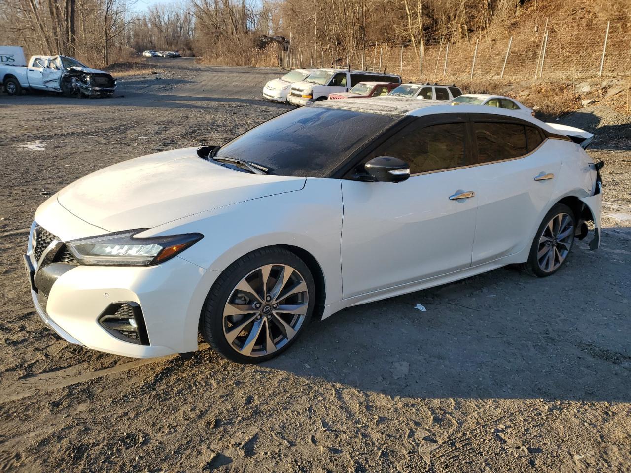 2023 NISSAN MAXIMA PLA