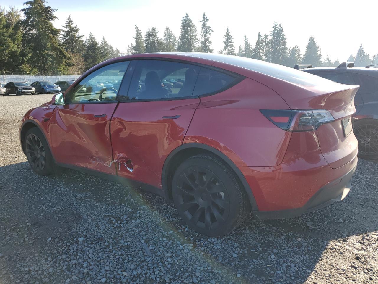 2023 TESLA MODEL Y - Фото 2