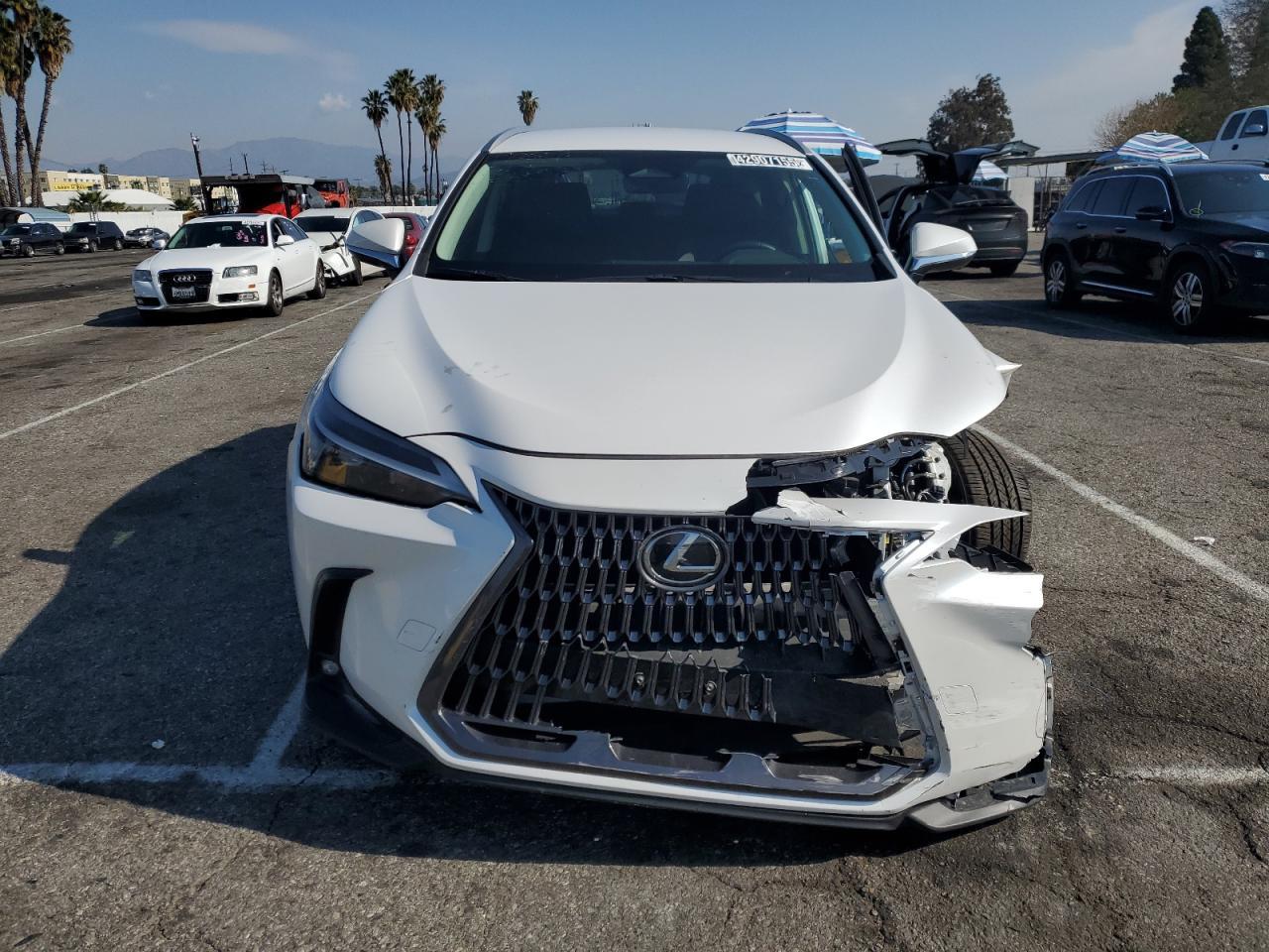 2024 LEXUS NX 350H BA - Image 5
