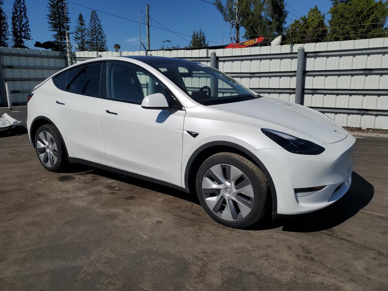 2024 TESLA MODEL Y - Image 4