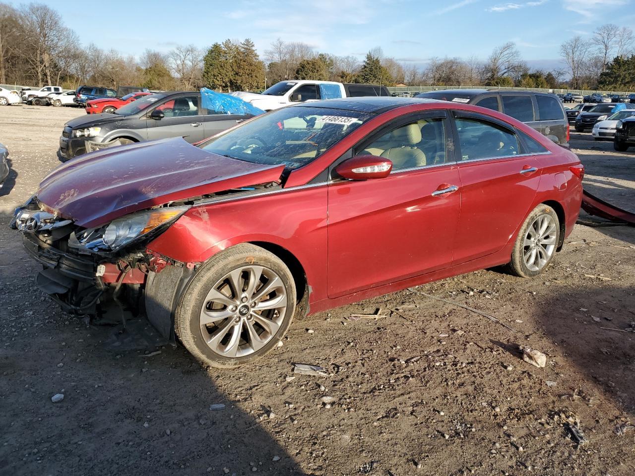 2013 HYUNDAI SONATA SE