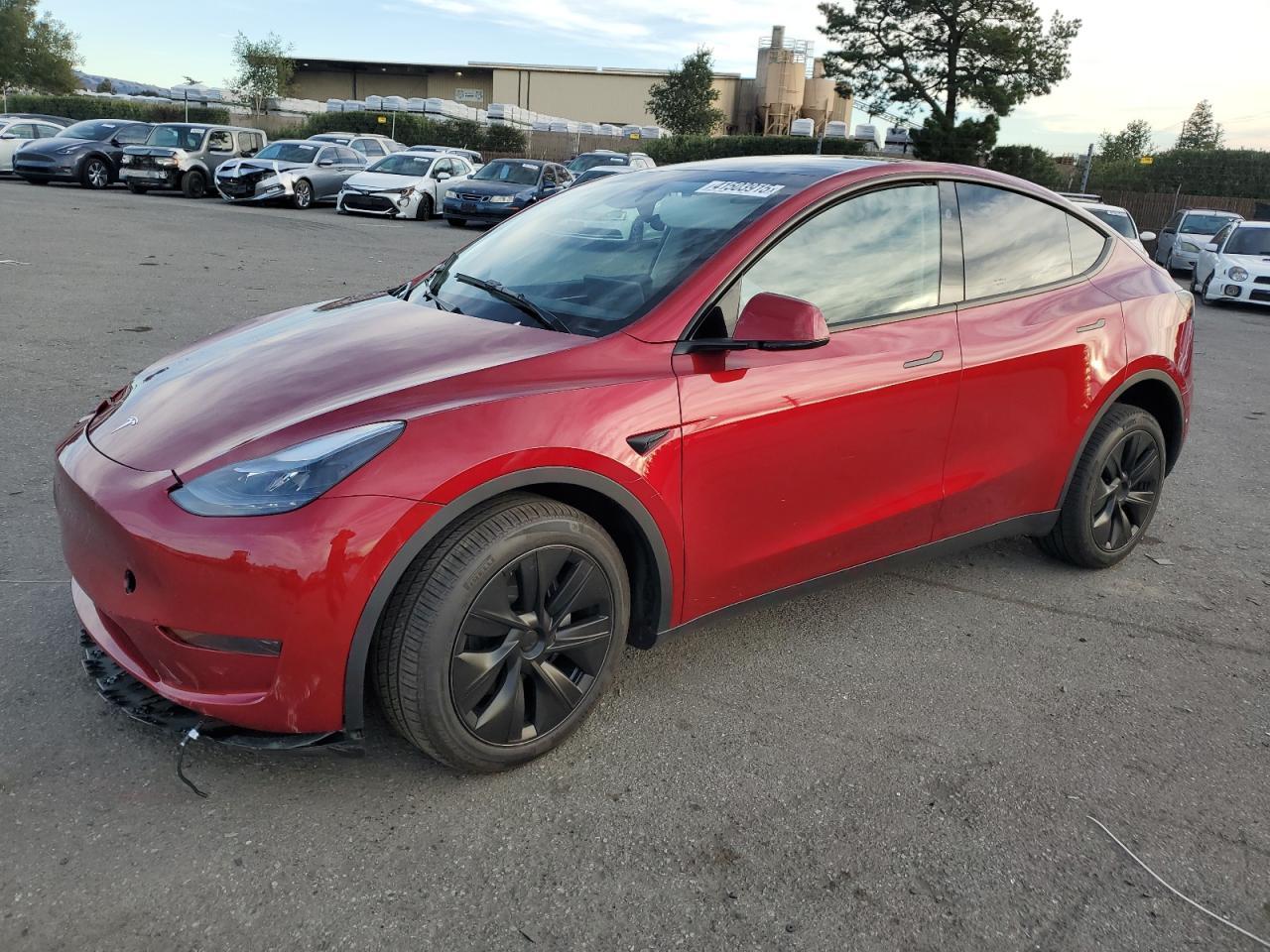 2025 TESLA MODEL Y