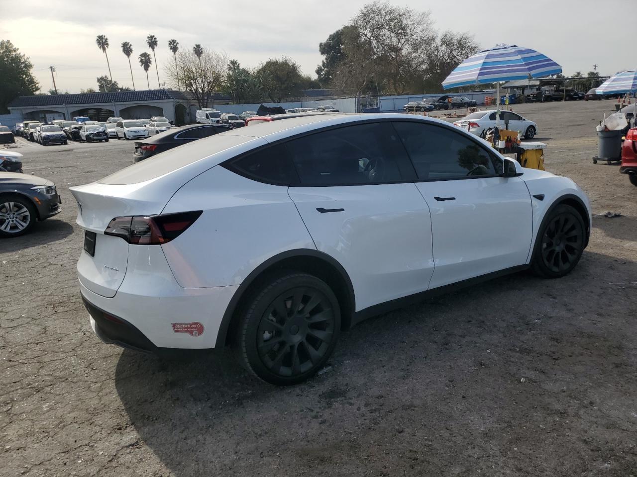2023 TESLA MODEL Y - Фото 3
