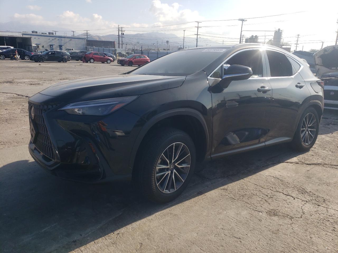 2024 LEXUS NX 350H BA