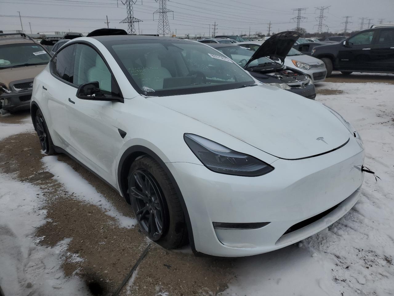 2025 TESLA MODEL Y - Image 4
