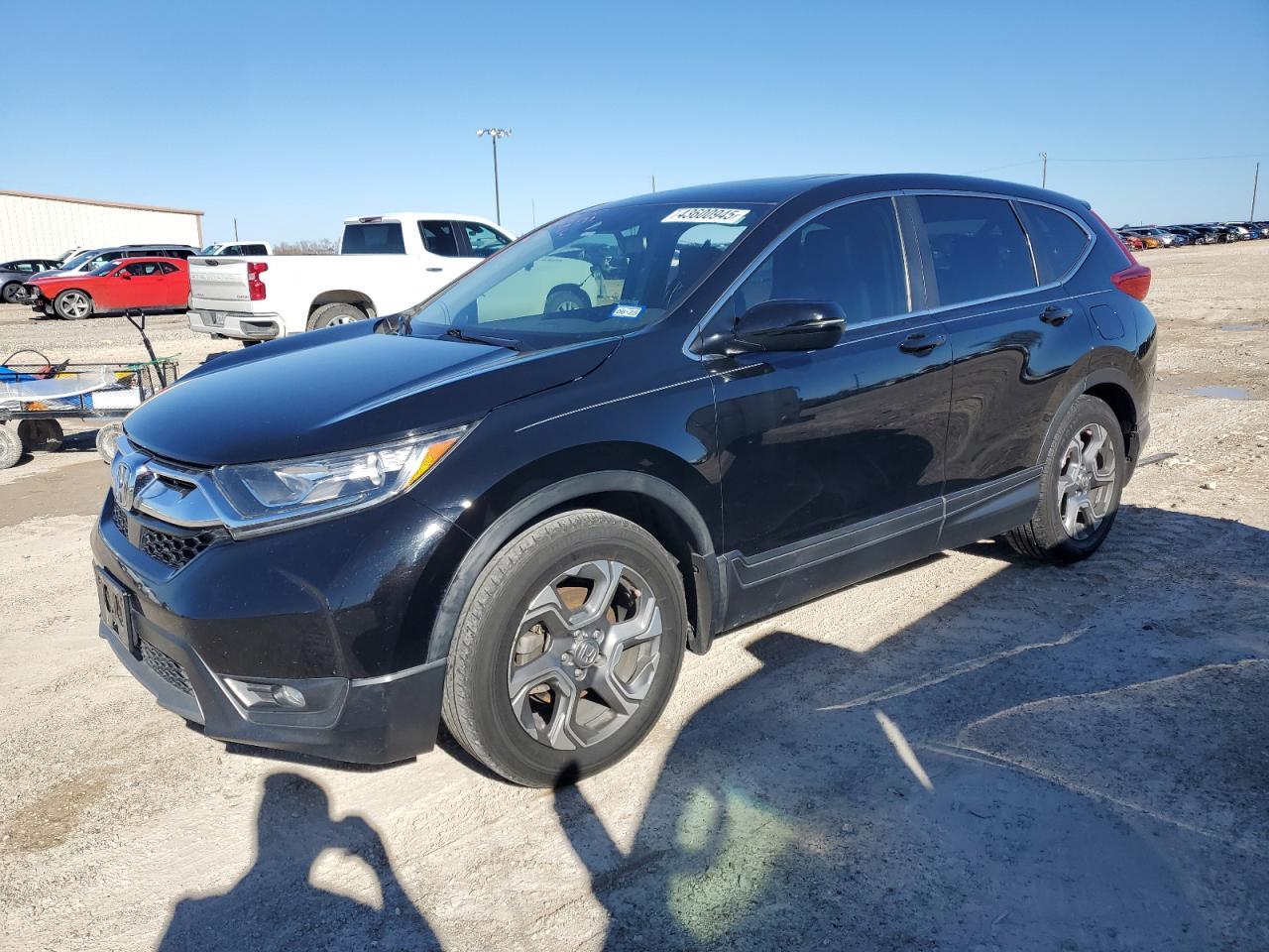2019 HONDA CR-V EXL