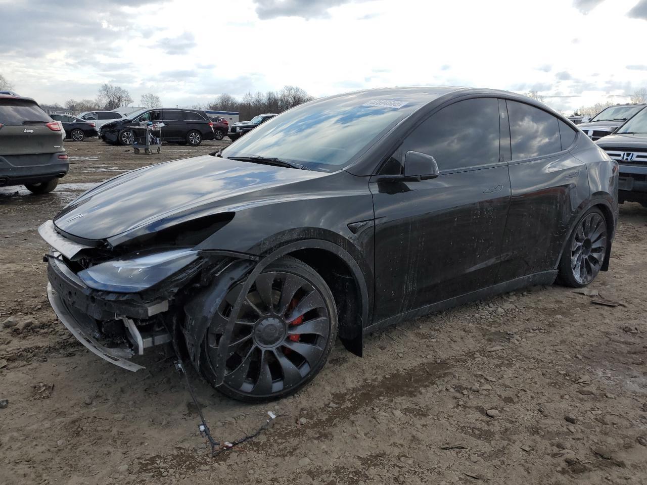 2023 TESLA MODEL Y