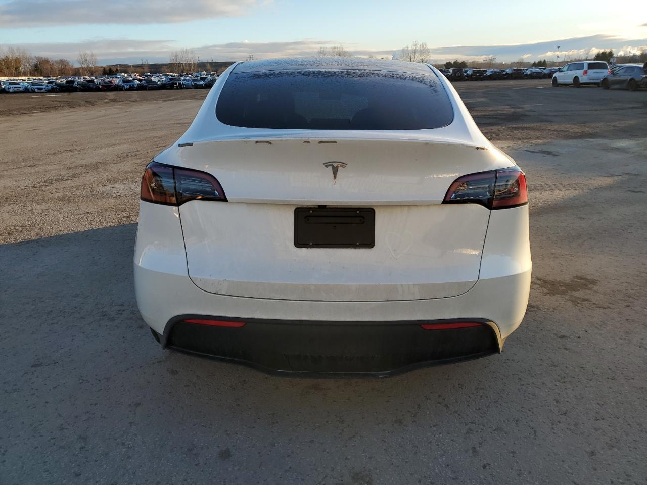 2024 TESLA MODEL Y - Фото 6