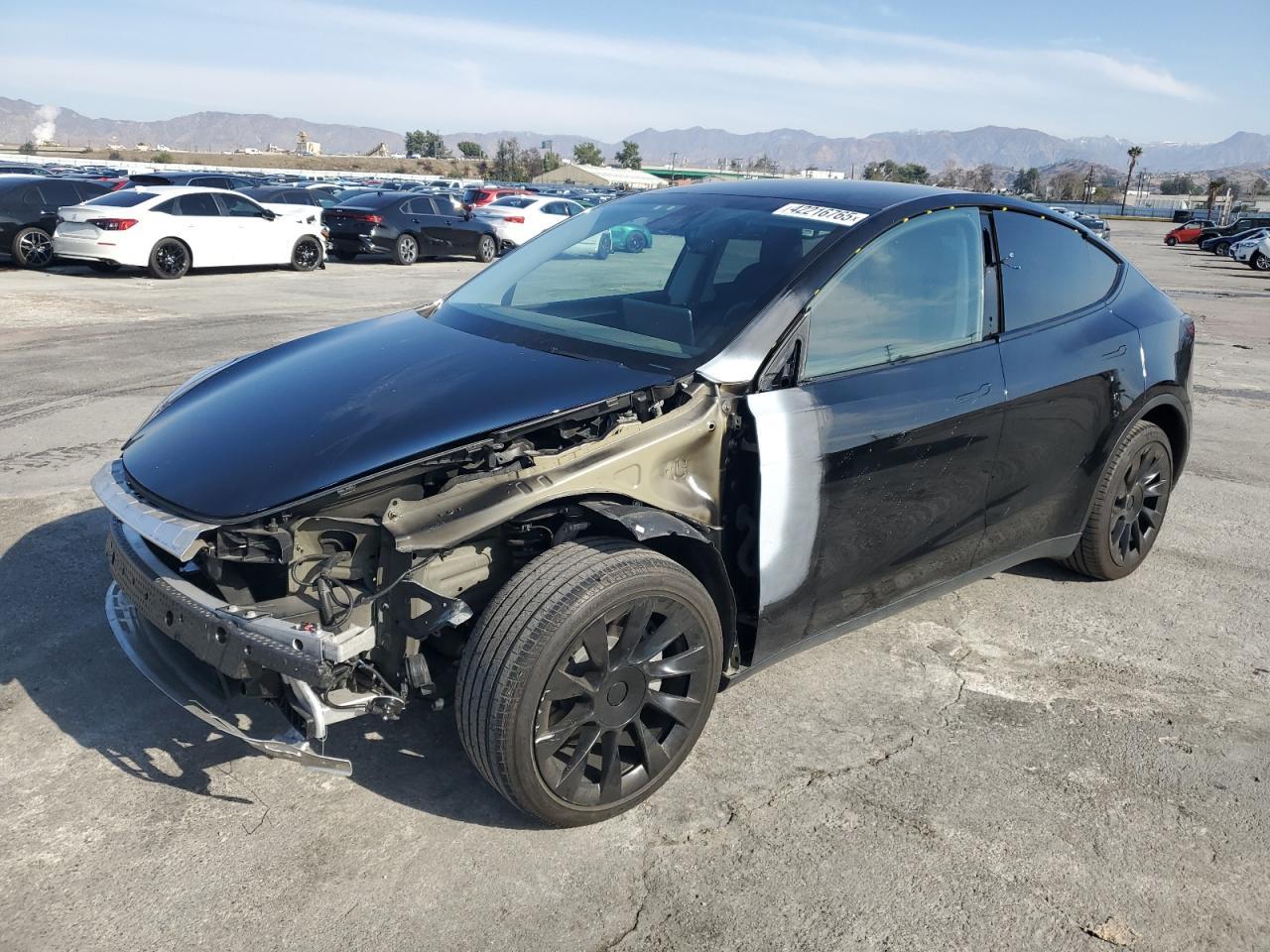 2023 TESLA MODEL Y