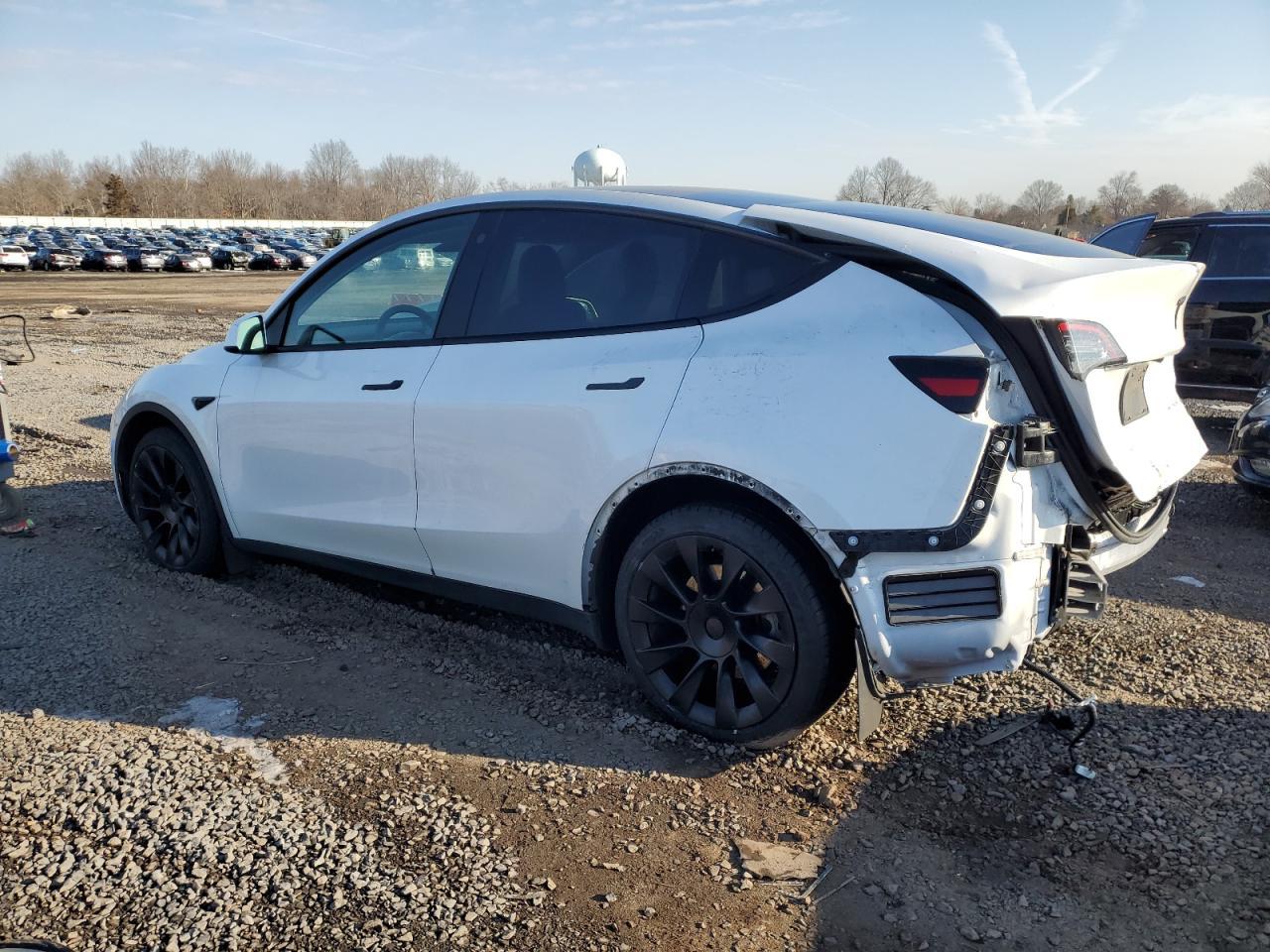 2023 TESLA MODEL Y - Фото 2