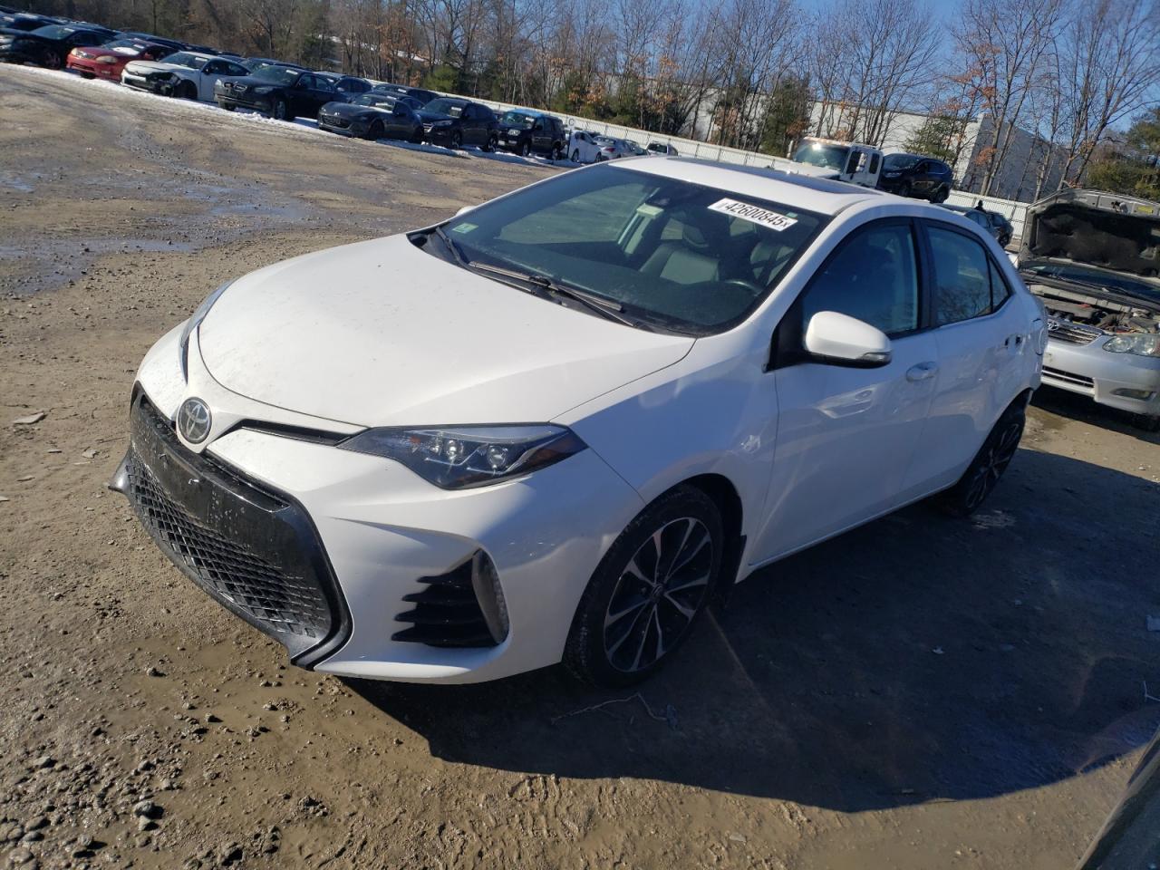 2019 TOYOTA COROLLA L