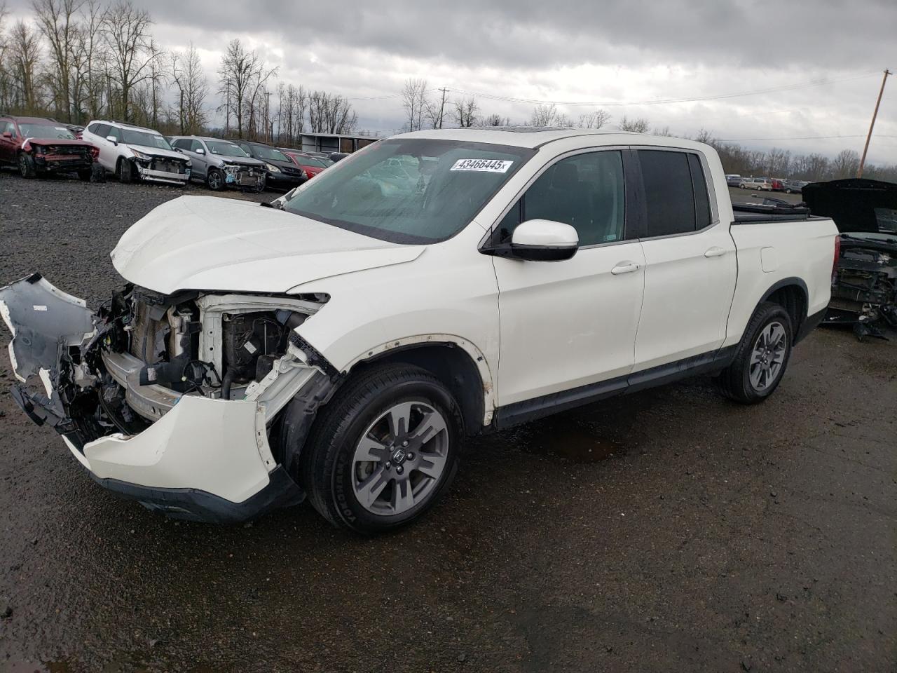 2019 HONDA RIDGELINE