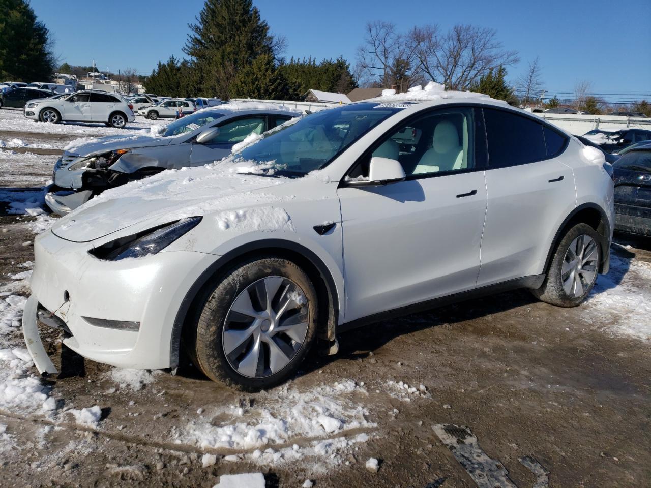2024 TESLA MODEL Y