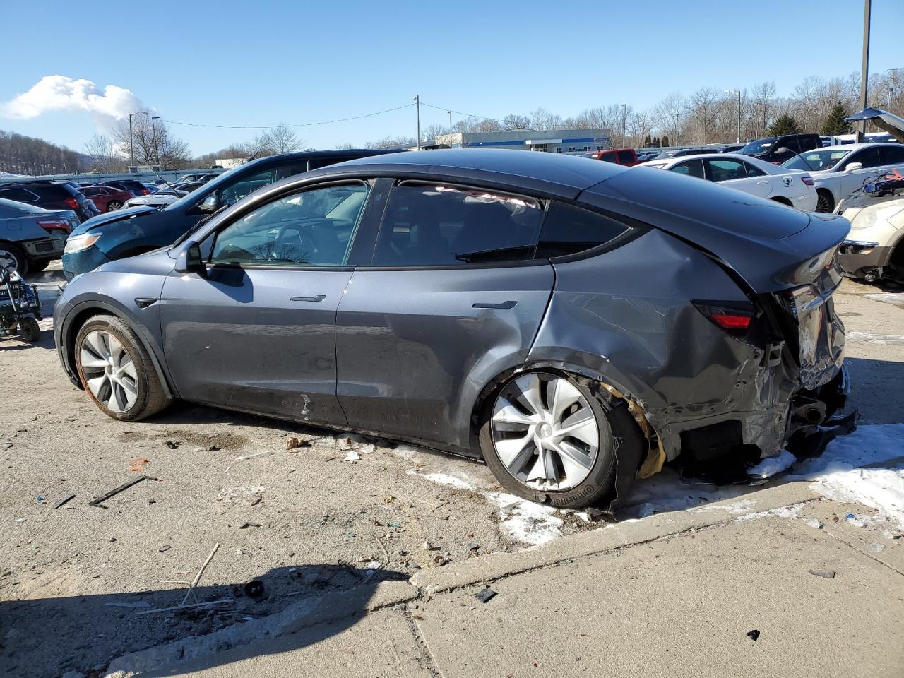 2023 TESLA MODEL Y - Фото 2