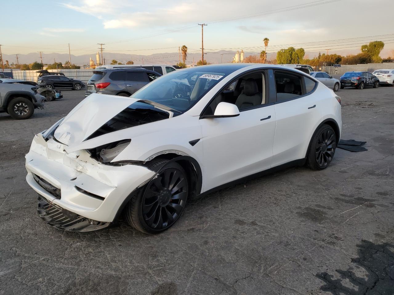 2023 TESLA MODEL Y
