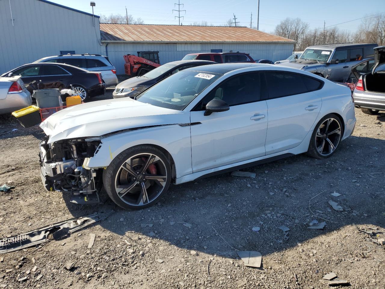 2023 AUDI RS5 car image