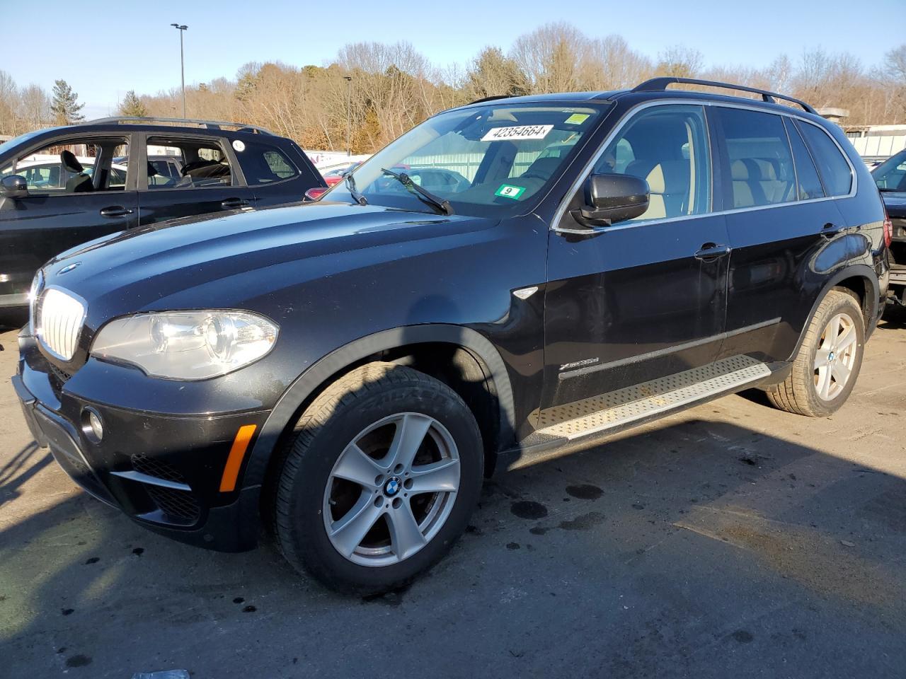 2013 BMW X5 XDRIVE3 car image