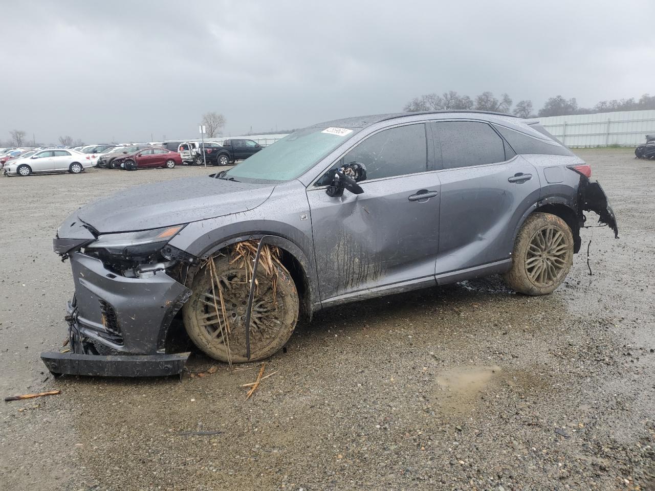 2023 LEXUS RX 500H F car image