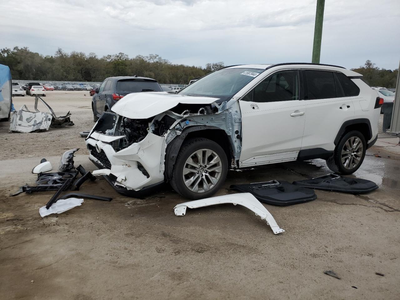 2019 TOYOTA RAV4 XLE P