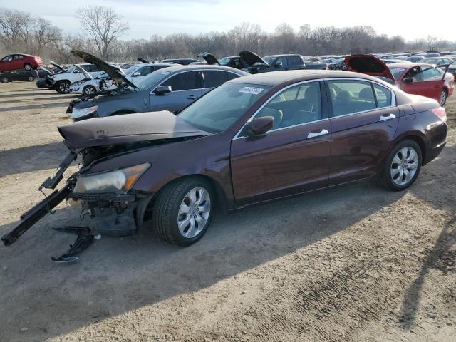 2010 Honda Accord Exl