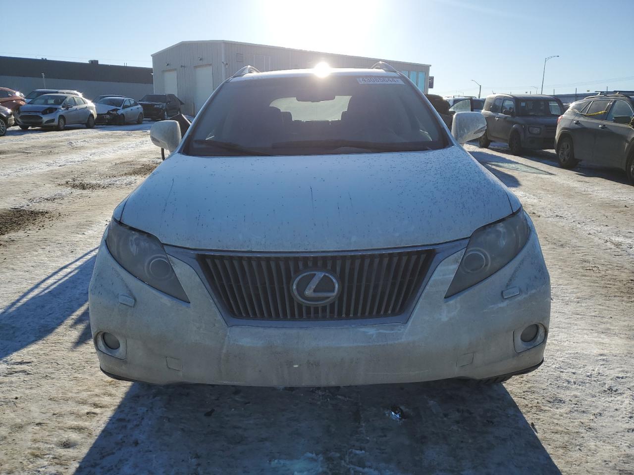 2010 LEXUS RX 350 - Фото 5