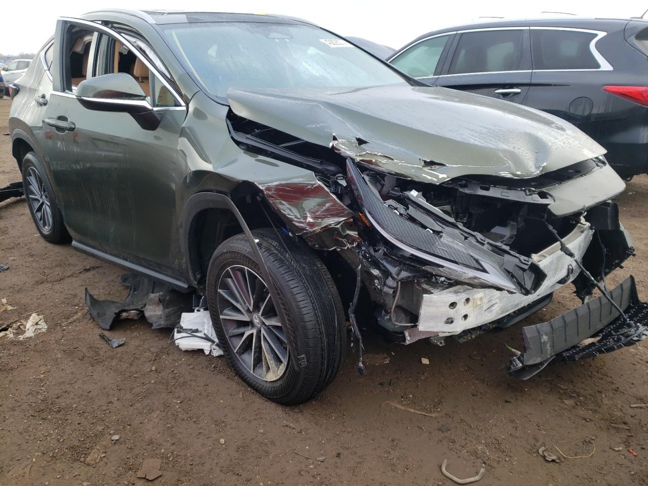 2024 LEXUS NX 350H BA - Image 4
