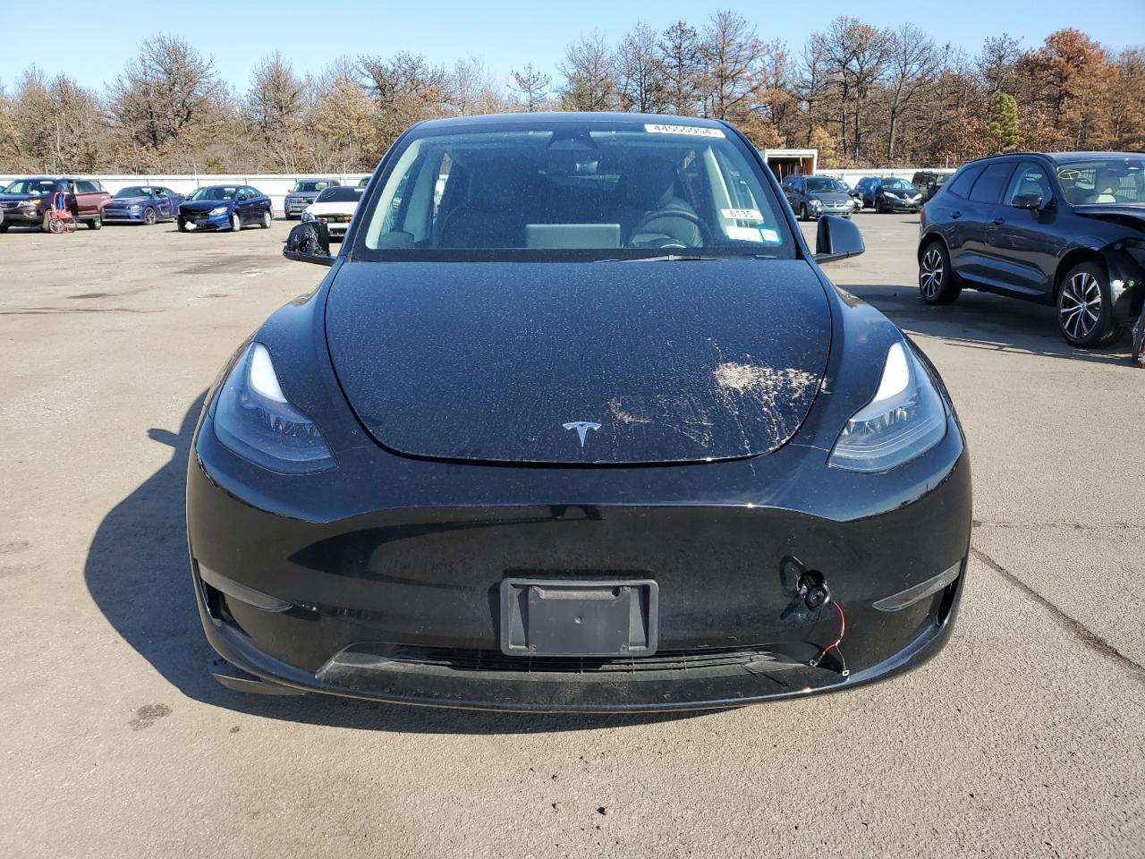 2023 TESLA MODEL Y - Фото 5