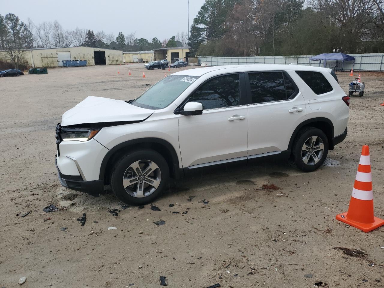 2024 HONDA PILOT EXL
