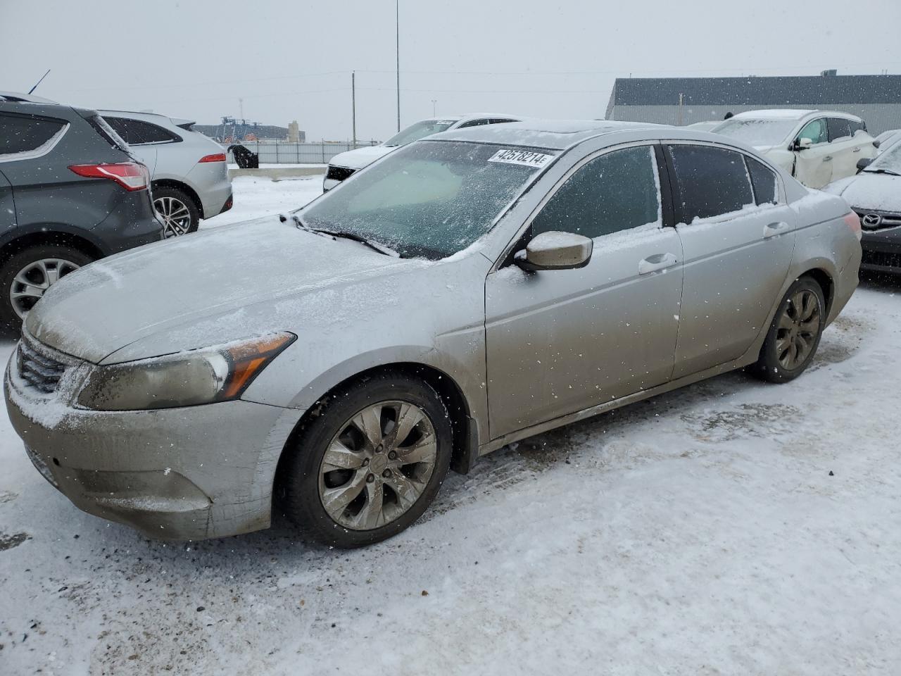 2010 HONDA ACCORD EXL