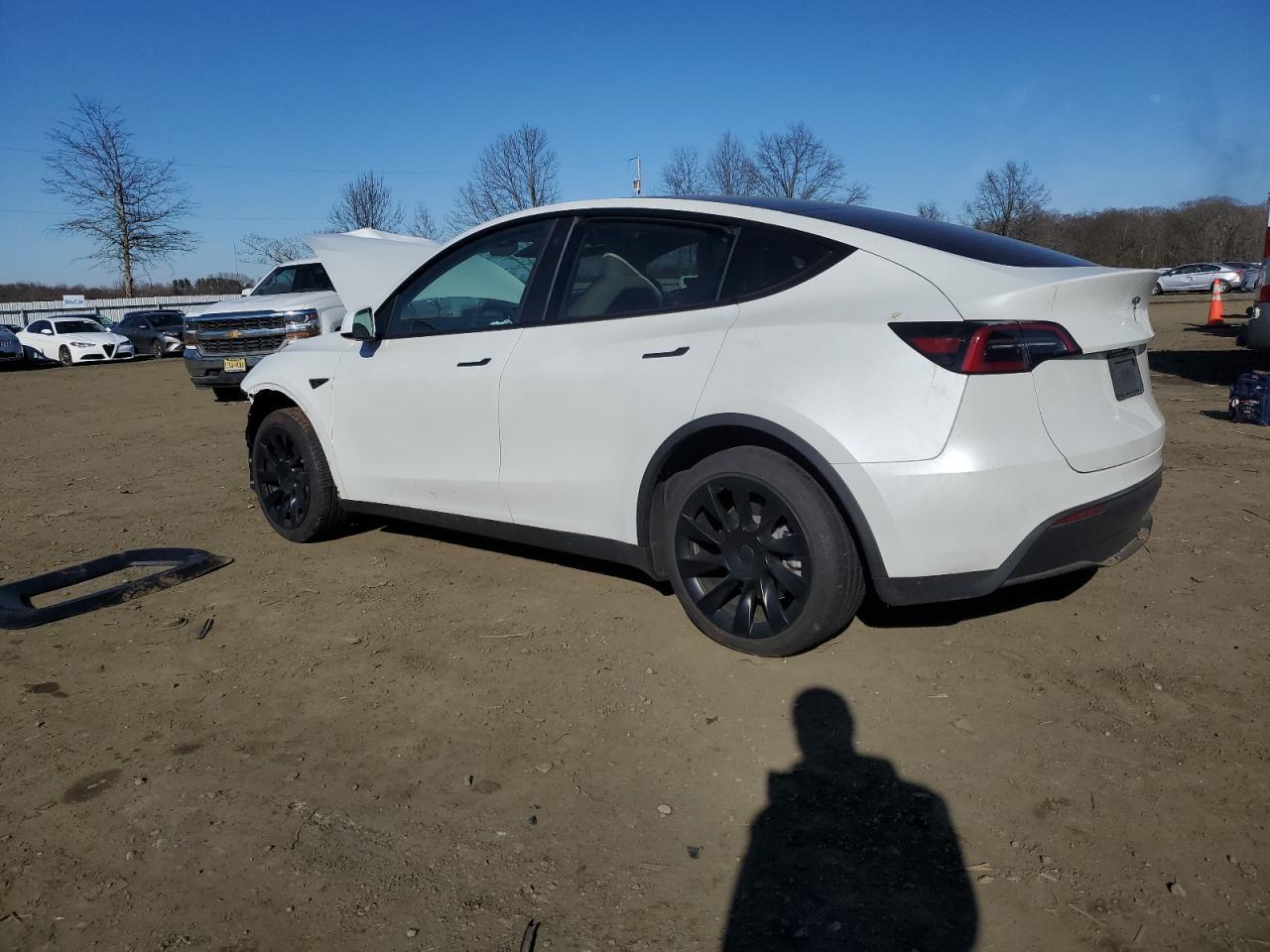 2023 TESLA MODEL Y - Image 2