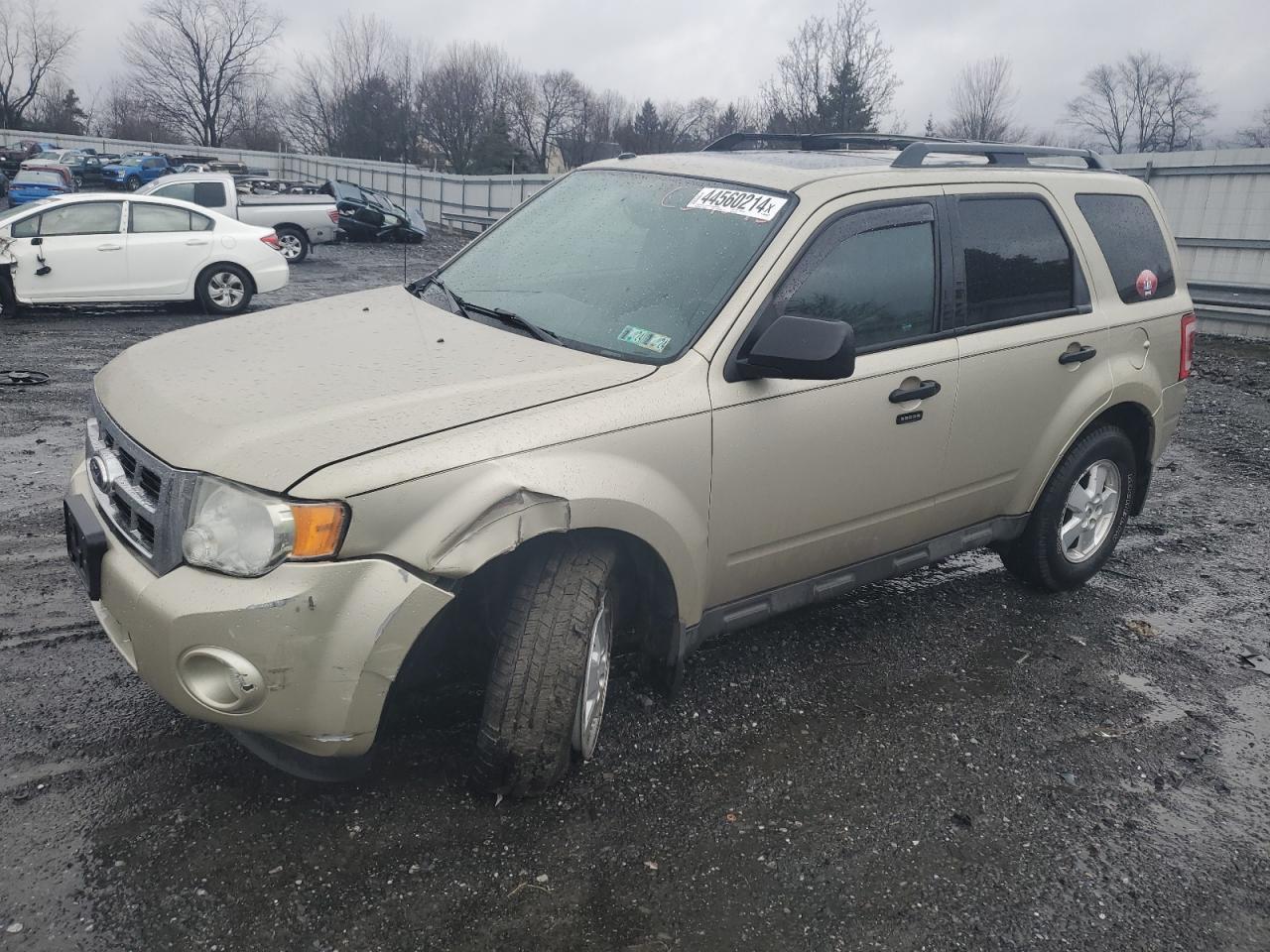 2012 FORD ESCAPE XLT
