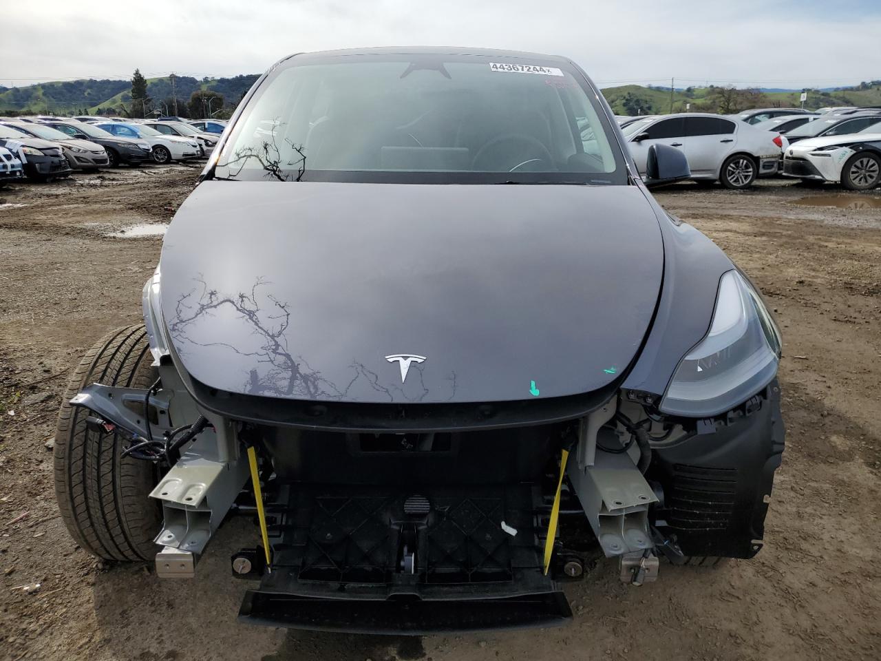 2023 TESLA MODEL Y - Image 5