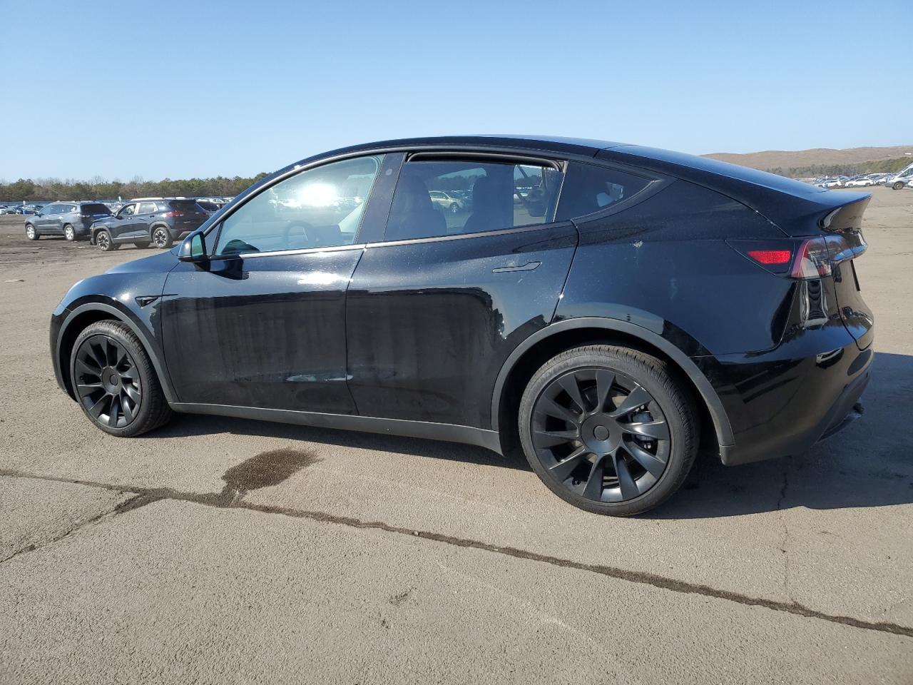 2023 TESLA MODEL Y - Фото 2
