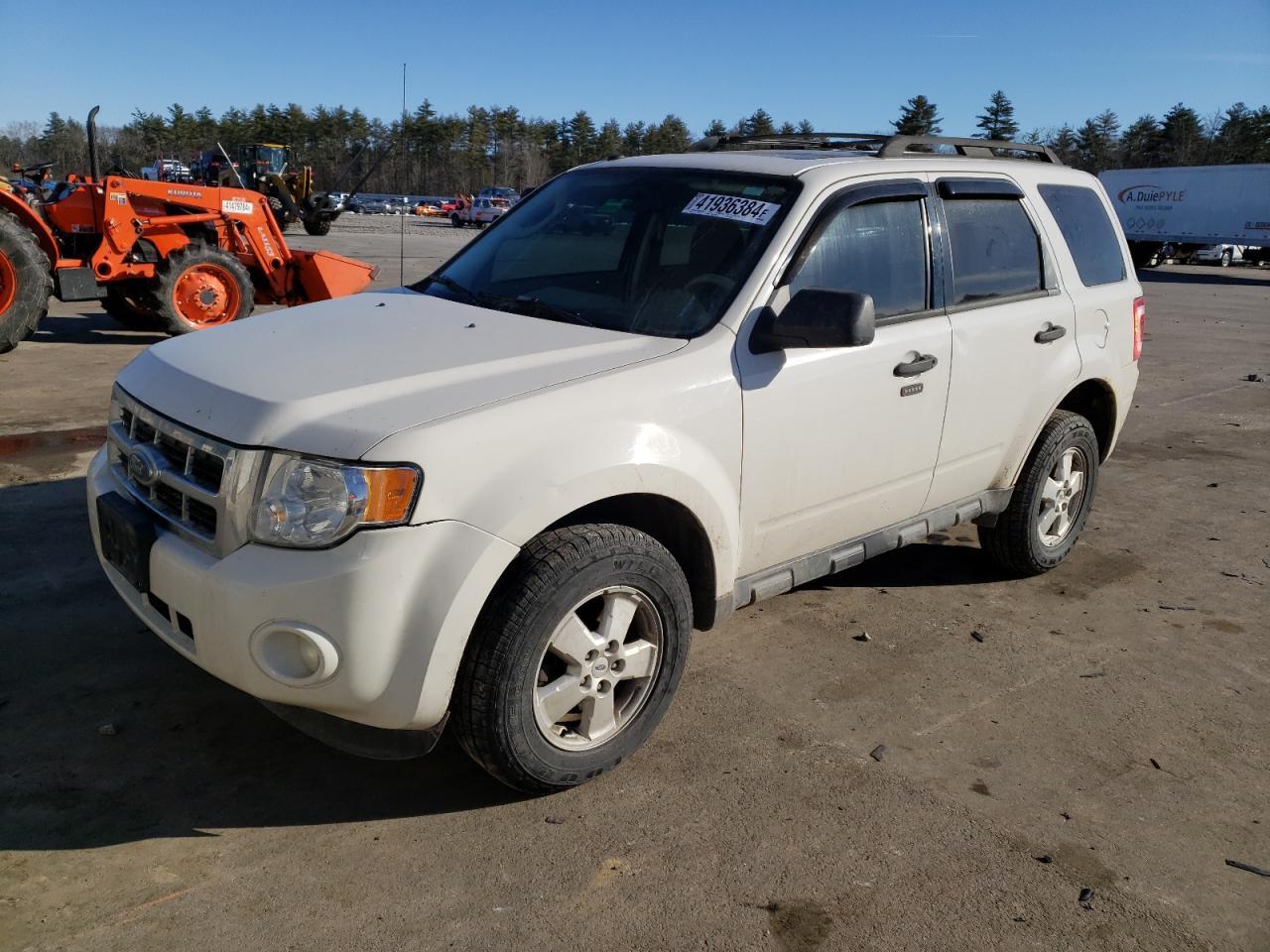 2010 FORD ESCAPE XLT