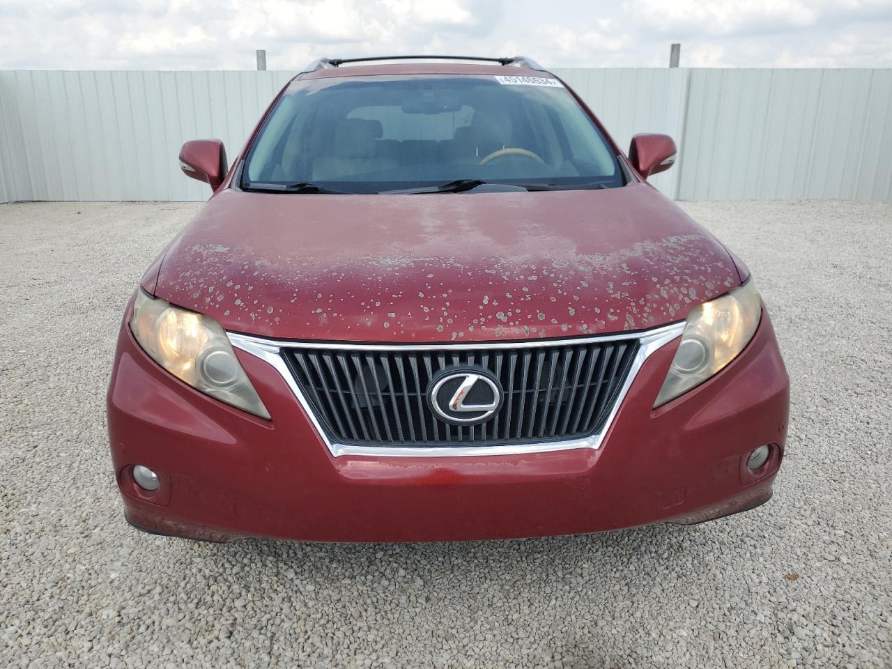 2010 LEXUS RX 350 - Image 5