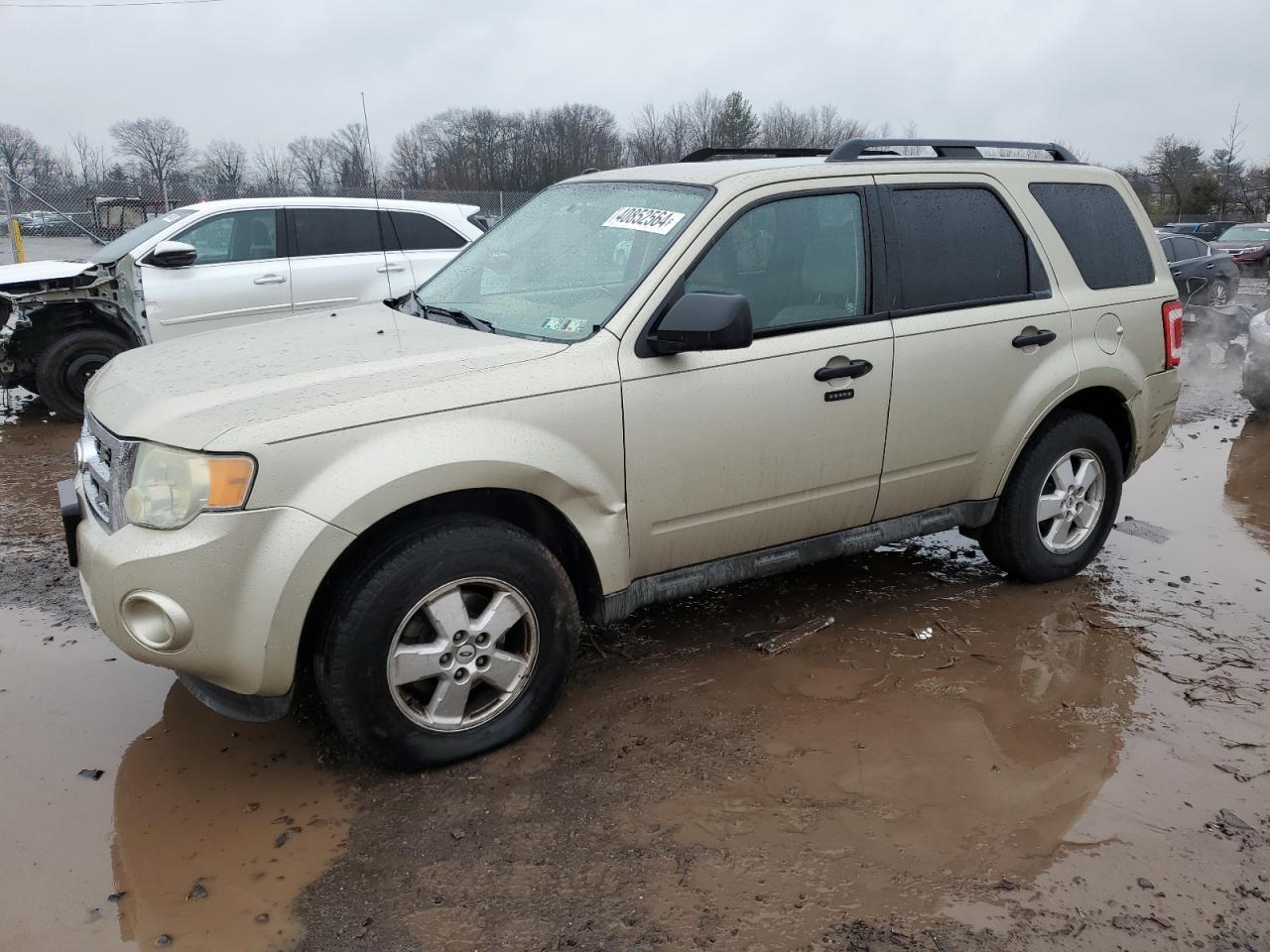 2010 FORD ESCAPE XLT