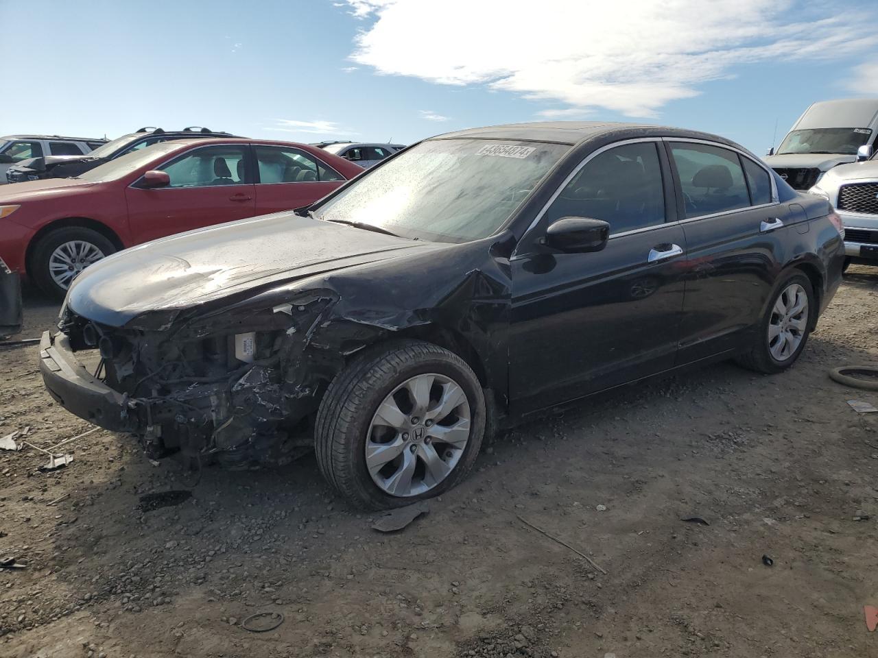 2010 HONDA ACCORD EXL