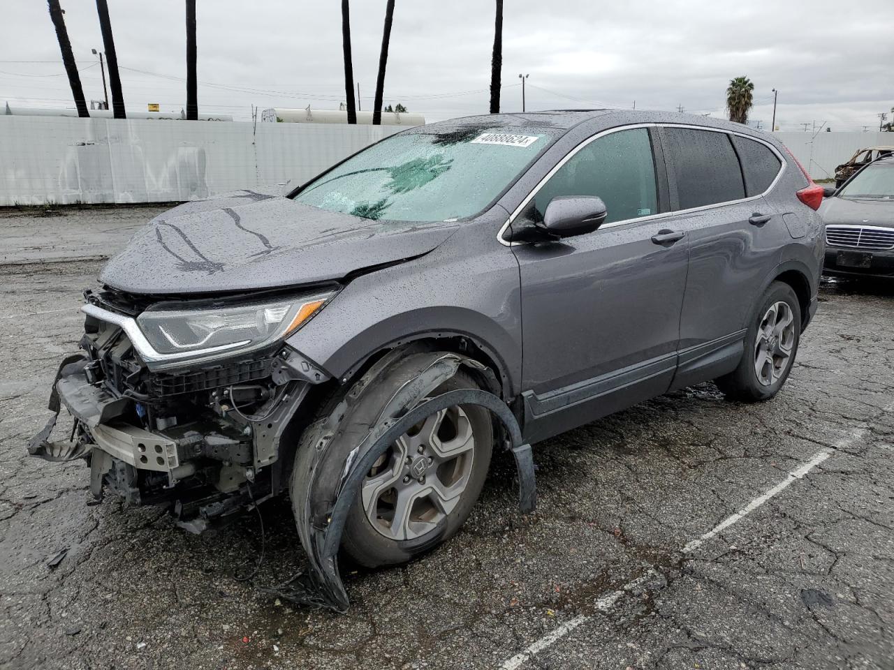 2019 HONDA CR-V EX