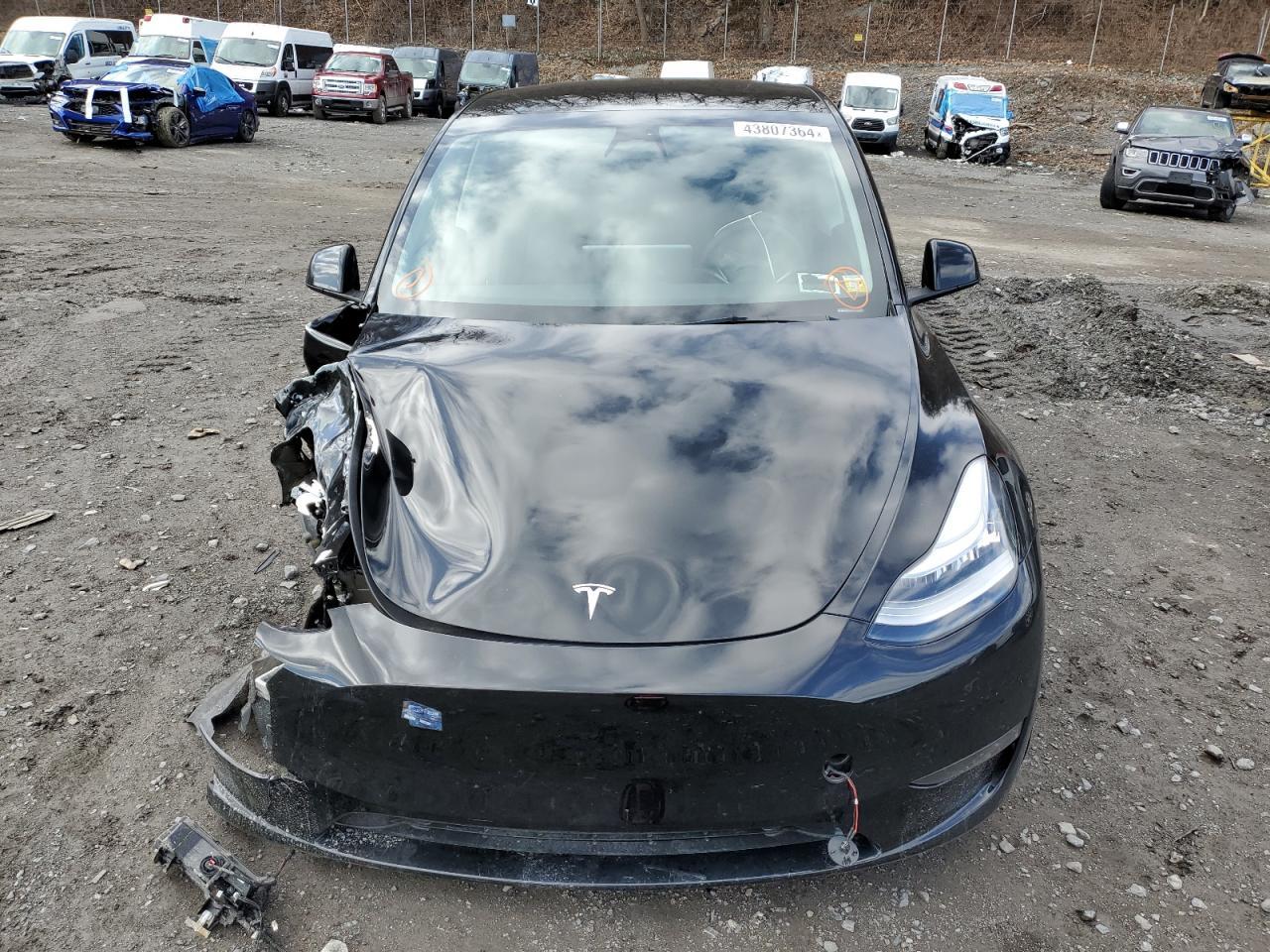 2023 TESLA MODEL Y - Image 5